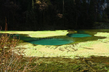 古代森林和矿物沉积湖池