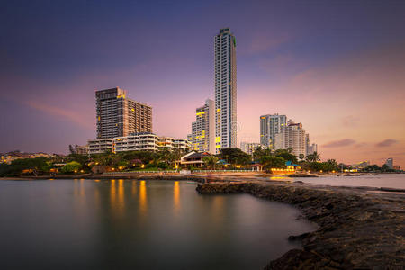 公司 城市景观 夏天 乐趣 海滩 椰子 早晨 港口 海湾