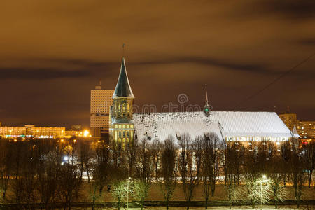 冬天的大教堂
