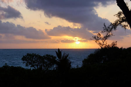 清晨的日出穿过一座岛屿和海洋上的树木