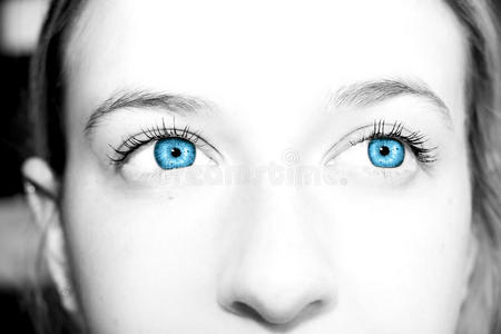美丽的蓝眼睛