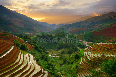 土地 中南半岛 环境 园艺 老挝语 风景 曲线 亚洲 地球