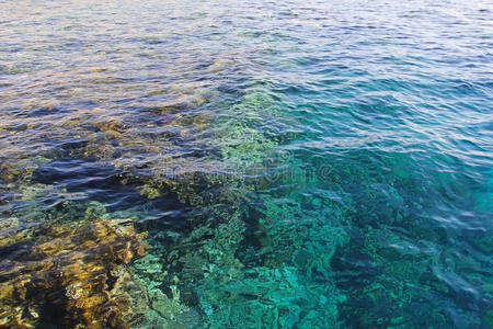 美女 地中海 场景 曲线 冲浪 颜色 液体 在里面 纯洁