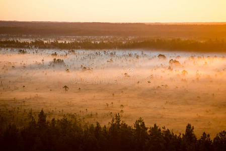 雾蒙蒙的五彩缤纷的早晨在田野上