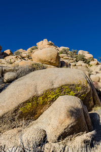 自然 沙漠 肖像 释放 岩石 约书亚 荒野 公园 巨石 国家的