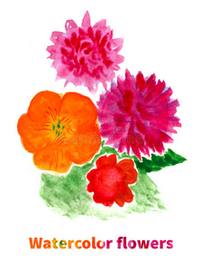 春天 明信片 艺术 紫菀 粉红色 颜色 植物区系 植物 绘画
