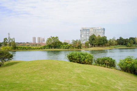 下午 草坪 河岸 湖边 水边 瓷器 冬天 成都 河边