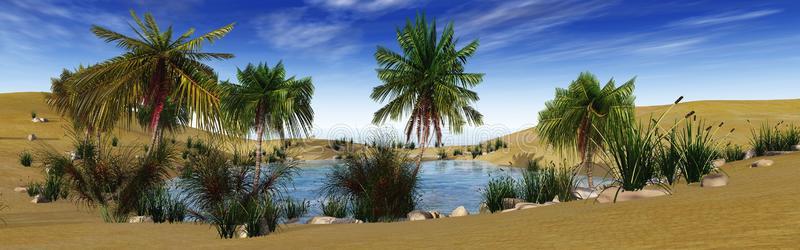 公司 沙漠 阿拉伯 气候 棕榈 郁郁葱葱 风景 曼达拉 植物
