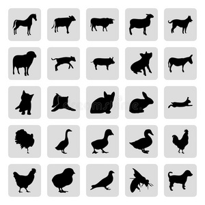 农场动物25个简单的图标设置