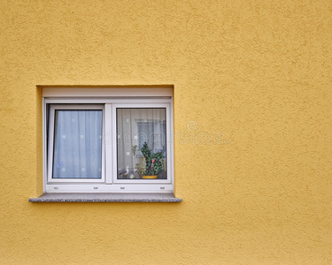 房子 五颜六色 外观 油漆 外部 旅行 窗口 建筑 颜色