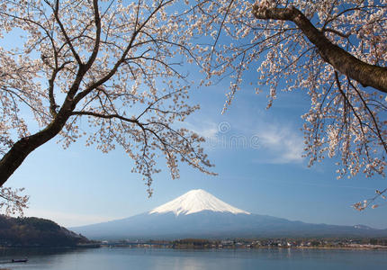 樱花和富士山