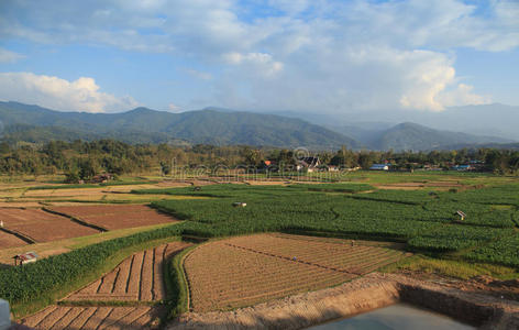 绿地苗圃农业