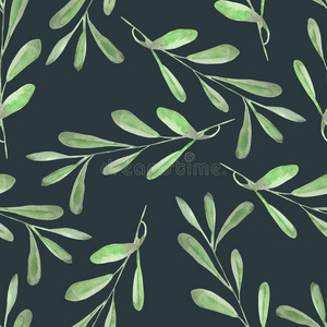 分支 纹理 橄榄 打印 春天 程式化 削减 项目 植物 油漆