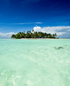 无人居住 假期 夏天 克鲁索 遥远的 弃儿 环礁 罗宾逊