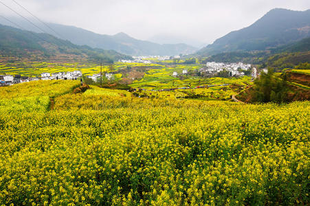 城市 安徽 建设 建筑 回族 建筑学 领域 地球 天堂 山坡