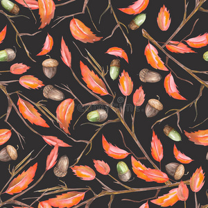 一种无缝的图案，在树枝上有水彩森林橡树橡子和红色秋叶的花卉装饰