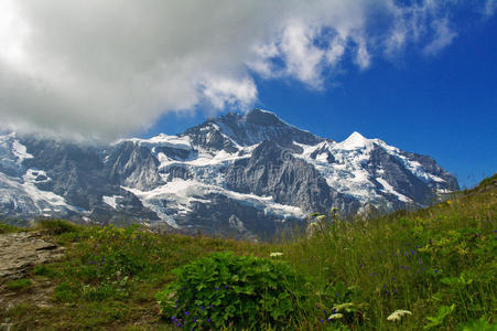 美丽的田园阿尔卑斯山景观与山在夏天