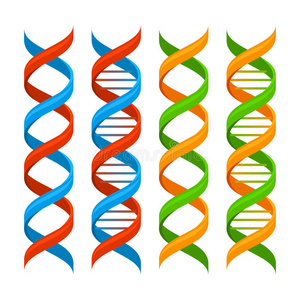 DNA基因组分子集。 矢量