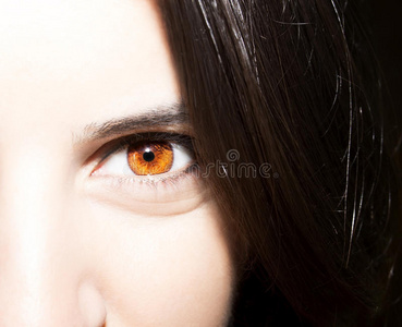 美丽有洞察力的棕色女人眼睛