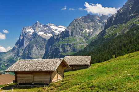 美丽的田园山脉景观与乡村住宅小屋在夏天