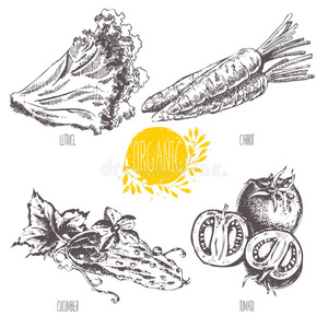 菜单 铅笔 标签 水果 绘画 黄瓜 涂鸦 收集 烹饪 市场