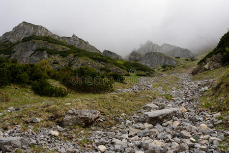 风景 首脑会议 徒步旅行 山谷 岩石 鞑靼 草地 山腰 自然