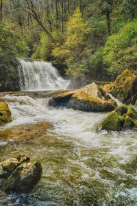 急流 阿巴拉契亚 卡罗莱纳州 小溪 苔藓 岩石 自然 瀑布