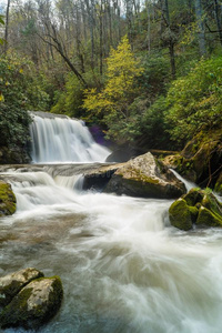春天 荒野 小溪 卡罗莱纳州 阿巴拉契亚 自然 风景 瀑布