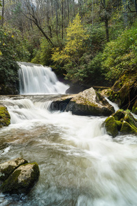 春天 荒野 大教堂 苔藓 卡罗莱纳州 小溪 风景 岩石 阿巴拉契亚