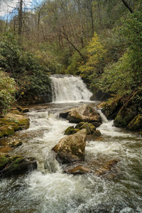 大教堂 苔藓 自然 瀑布 卡罗莱纳州 风景 春天 岩石 荒野