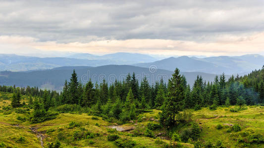 多云的夏季喀尔巴阡山脉景观。 乔诺戈拉岭，乌克兰，欧洲。
