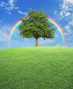 大树上有绿色的草地，彩虹和蓝天，自然背景