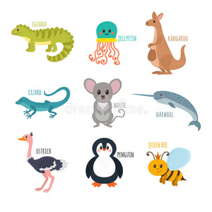 美国广播公司。 矢量中可爱的动物园字母表。 有趣的卡通动物。 鬣蜥，水母，袋鼠，蜥蜴，老鼠，独角鲸，鸵鸟，企鹅，Q