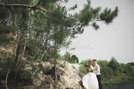 美丽的新婚夫妇在山上有岩石
