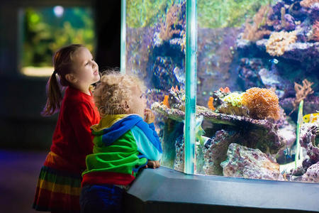 学校 姐妹 自然 公园 水族馆 海的 颜色 小孩 儿童 海洋的