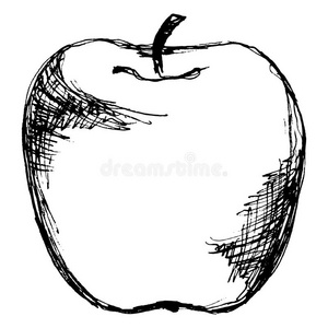 黑白水果苹果线艺术分离载体