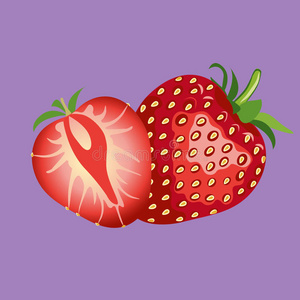 美丽的红色草莓插图。 草莓果实分离。 紫色背景