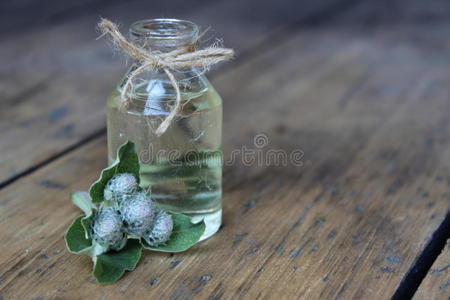 荨麻 秋天 枯木 照顾 粗麻布 花瓣 环境 篮子 领域 芦苇