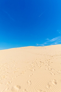 海岸 自然 皮拉特 海洋 天空 领域 沙丘 风景 小山 沙漠