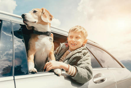 男孩和狗从车窗往外看