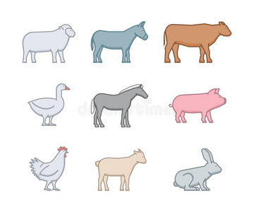 牲畜 母鸡 偶像 家禽 插图 羔羊 卡通 公司 概述 奶牛