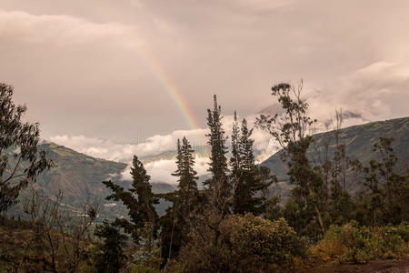 草地 陨石坑 寒冷的 黎明 射线 风景 自然 小山 山坡