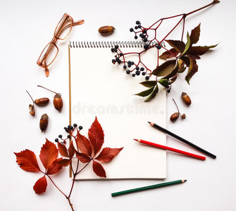 秋天的作文，用素描本铅笔和眼镜，装饰着红叶和浆果。 平躺，俯视