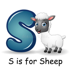 动物字母表s是给羊的