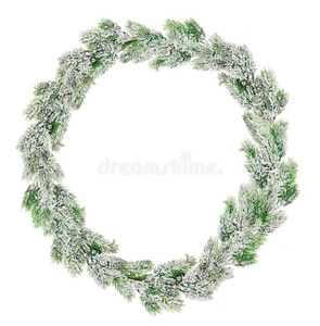 绿色的圣诞花环在白雪中隔离在白色上