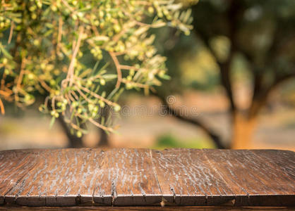 草本植物 木板 花园 秋天 公司 食物 橄榄 美丽的 领域