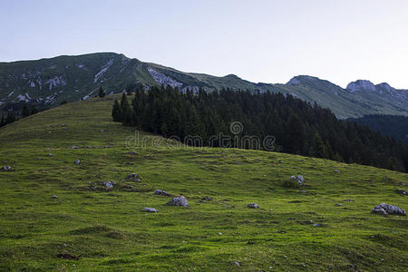 自然 地标 娱乐 公园 旅游业 高的 孤独 攀登 长的 风景