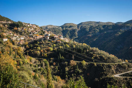 地中海 场景 房屋 城市景观 风景 颜色 屋顶 峡谷 树叶