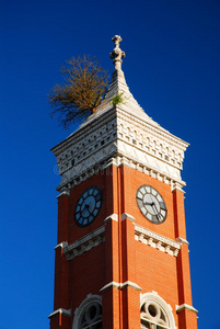 目的地 迪凯特 政府 吸引力 外部 历史的 成长 时钟 房子