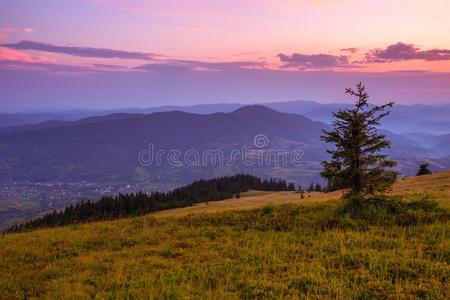 美丽的夏季景观，欧洲山脉，欧洲旅行，美丽的世界